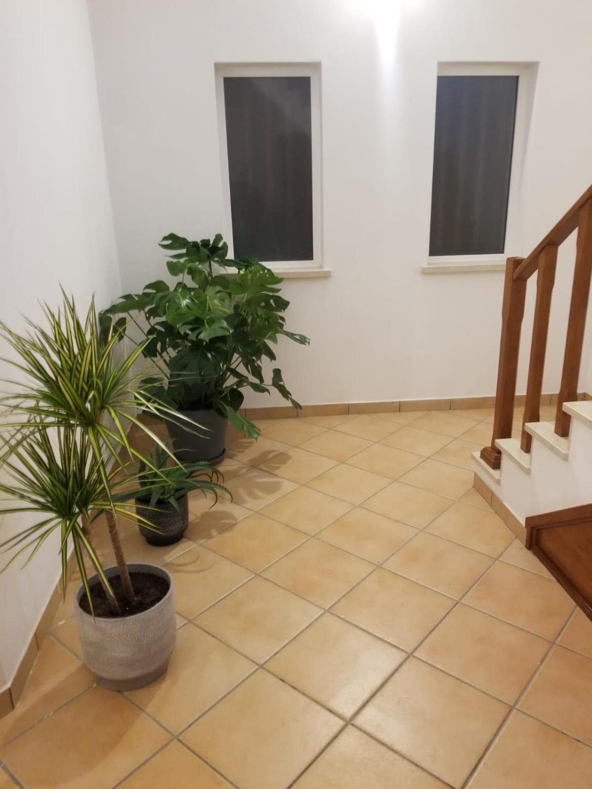 דירות Serra d'El-Rei Le Parisien 1 מראה חיצוני תמונה